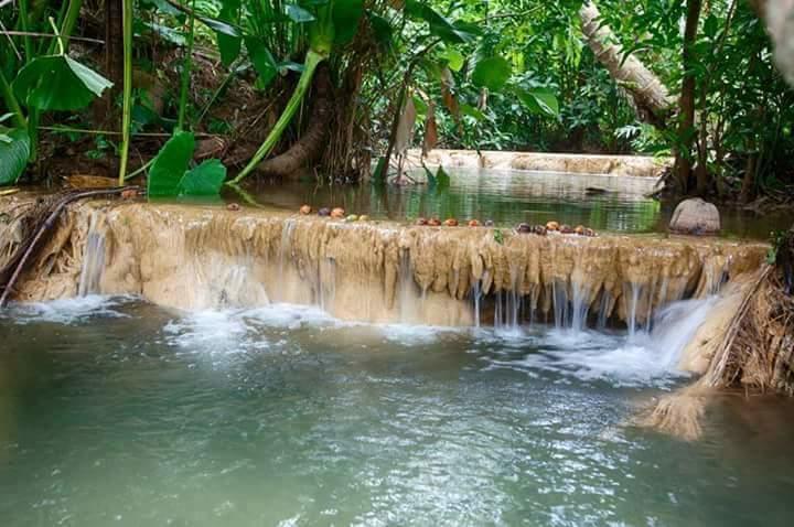 Baan Suan Tondin Hotel Satun Eksteriør billede